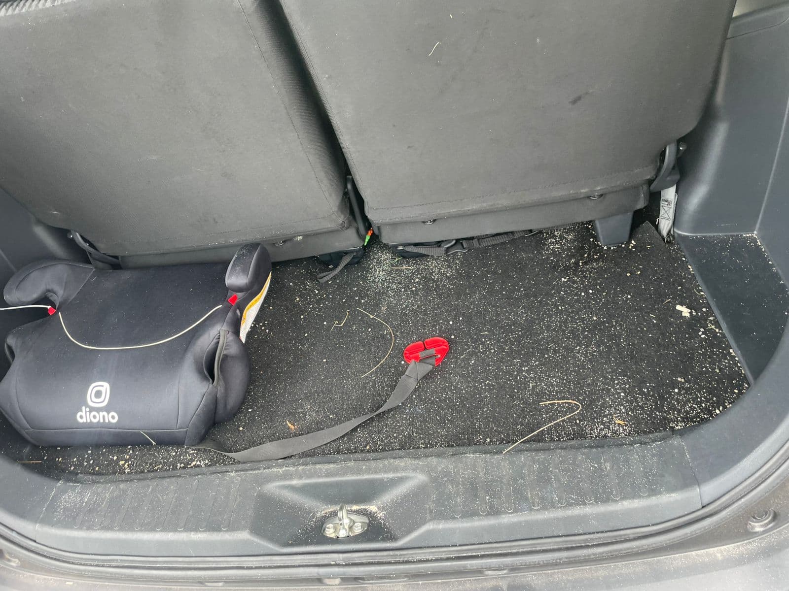 Car cargo area carpet — before cleaning